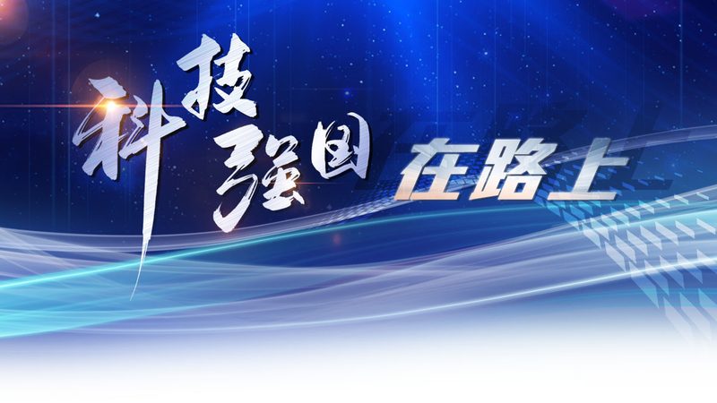 数据可视化：让复杂数据一目了然的魔法