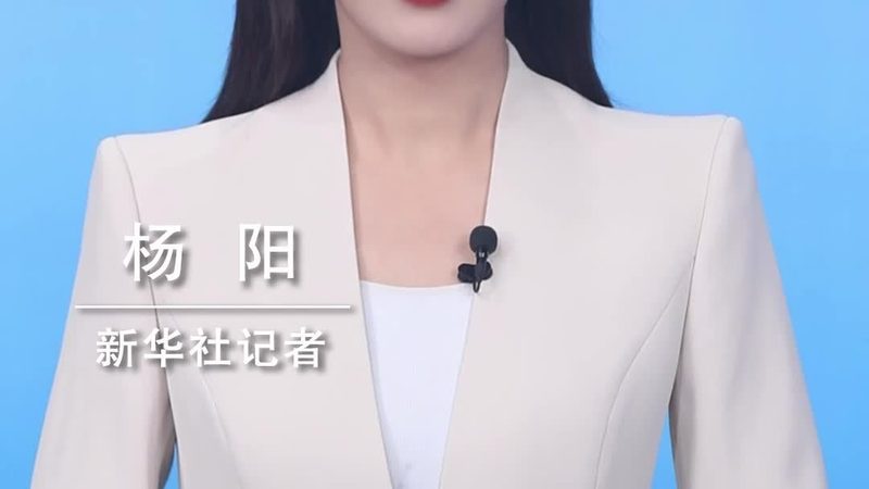上海知识图谱电商安装服务：揭秘其核心优势与实施要点